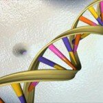 Генетический код и его экспрессия