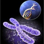 Генетика и эволюция жизни